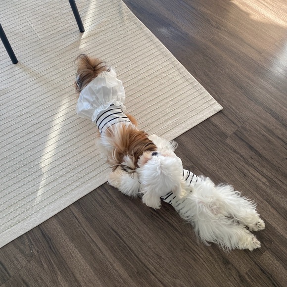 Meet your Posher, Rey - Picture 9 of 11